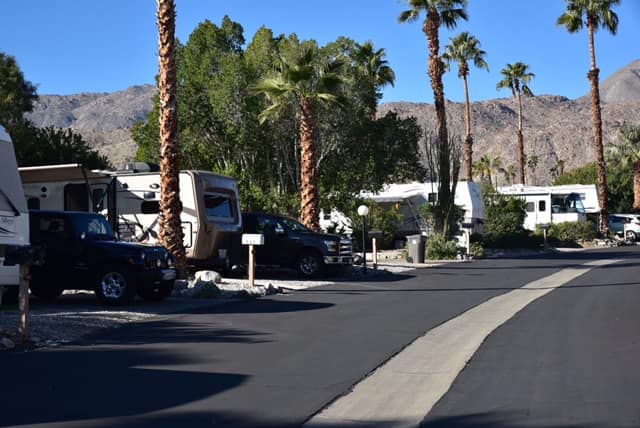 RV sites along a palm-lined road at Silver Spur